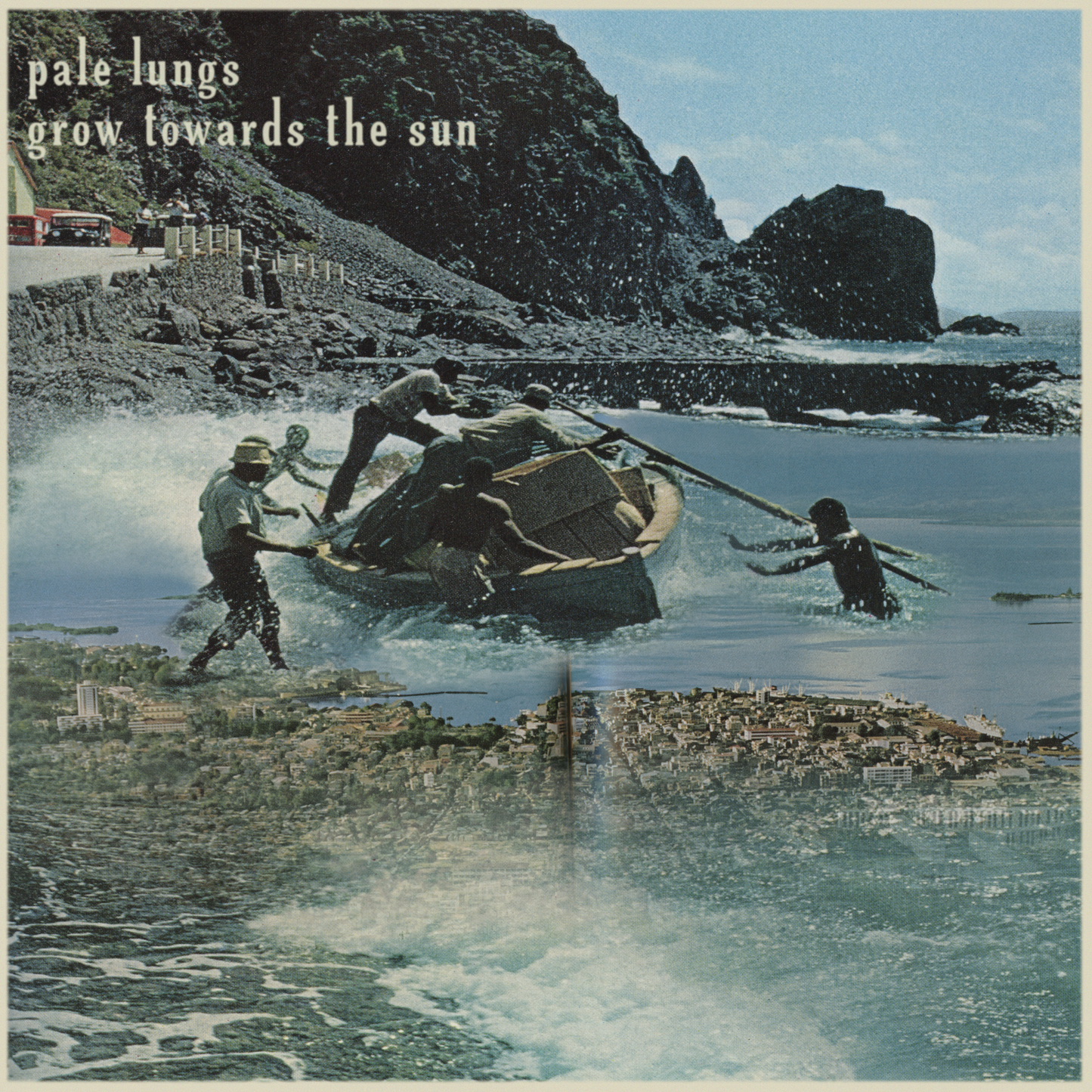 Grow Towards the Sun - Digital Download